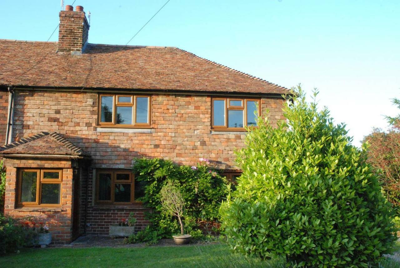 Hollyhock Cottage آشفورد المظهر الخارجي الصورة