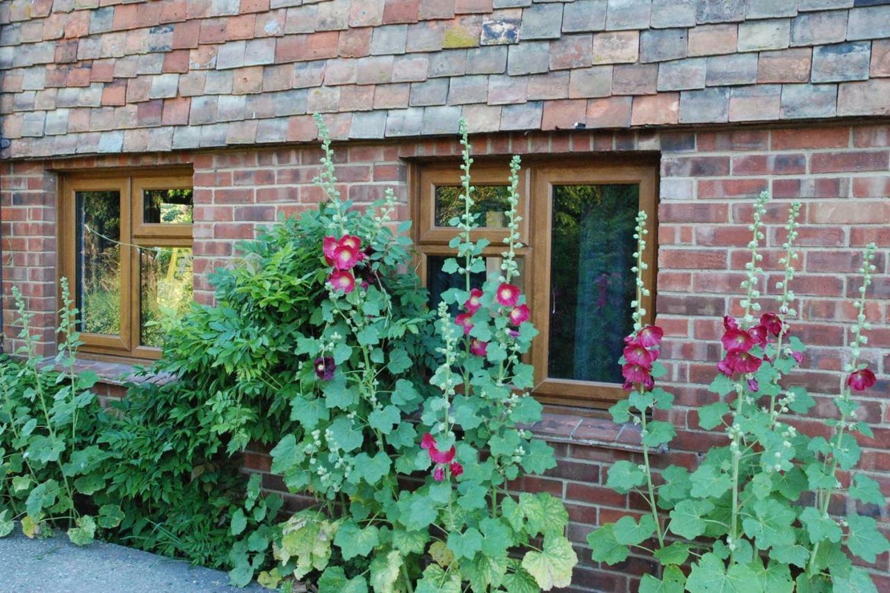 Hollyhock Cottage آشفورد المظهر الخارجي الصورة