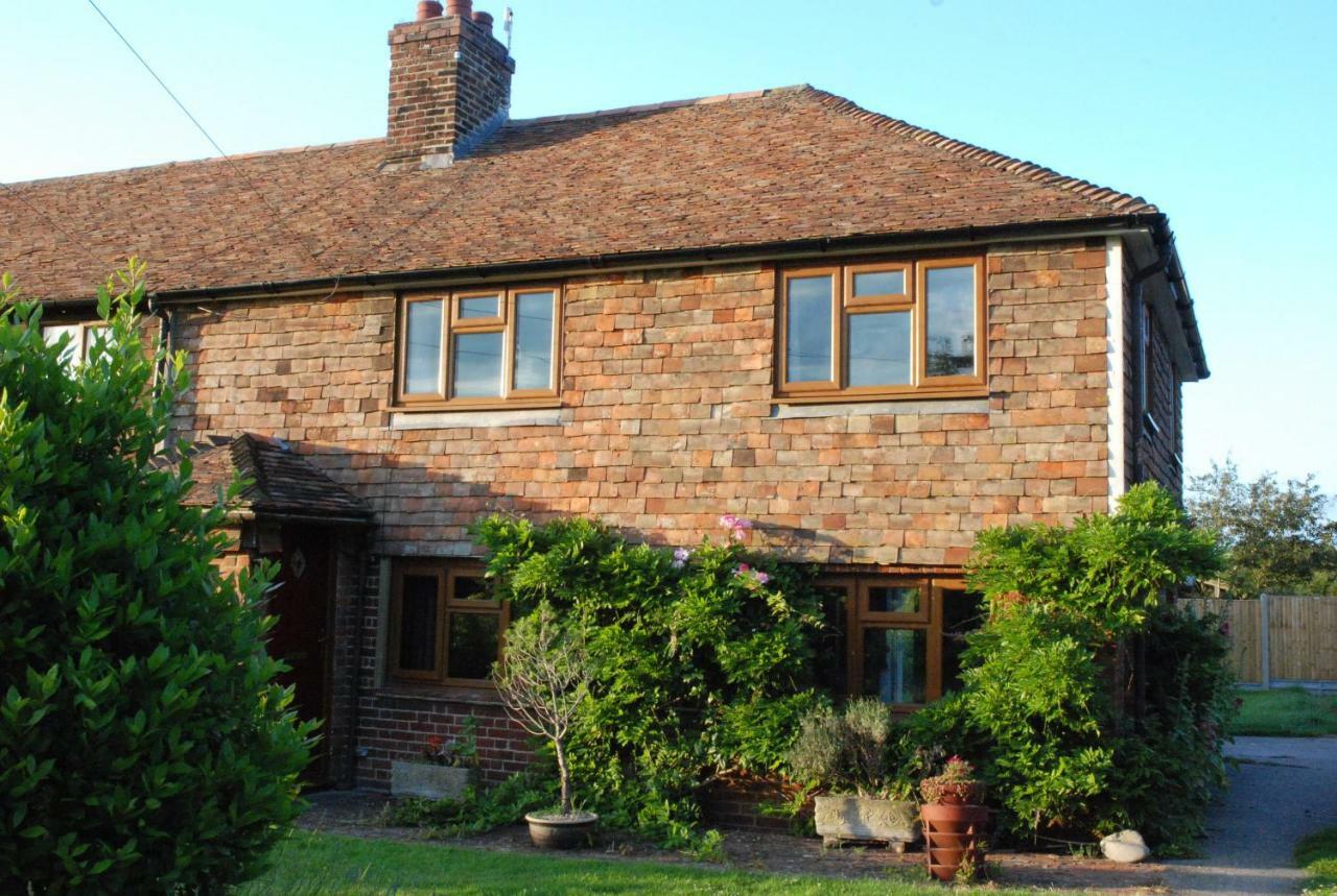 Hollyhock Cottage آشفورد المظهر الخارجي الصورة